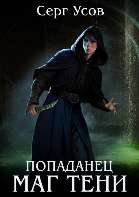 Попаданец. Маг Тени. Книга 10 Попаданец. Маг Тени. Книга 10