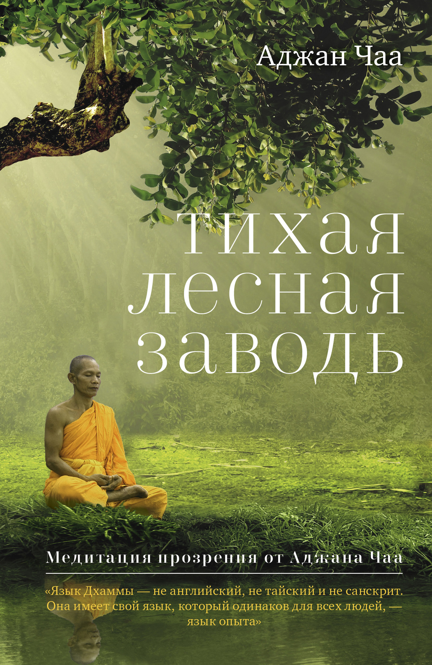 Тихая лесная заводь. Медитация прозрения от Аджана Чаа Тихая лесная заводь. Медитация прозрения от Аджана Чаа