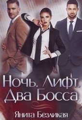 Ночь. Лифт. Два Босса (СИ) Ночь. Лифт. Два Босса (СИ)