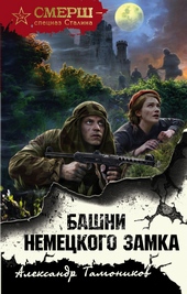 Башни немецкого замка Башни немецкого замка