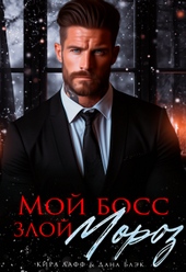 Мой босс - злой Мороз! Мой босс - злой Мороз!