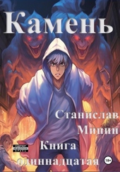 Камень. Книга одиннадцатая Камень. Книга одиннадцатая