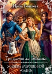Три дракона для попаданки. Хозяйка заброшенной усадьбы Три дракона для попаданки. Хозяйка заброшенной усадьбы