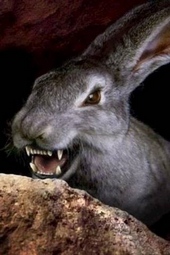 Иномирцам вход воспрещен. Том 8 (СИ) Иномирцам вход воспрещен. Том 8 (СИ)