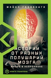 Истории от разных полушарий мозга. Жизнь в нейронауке Истории от разных полушарий мозга. Жизнь в нейронауке