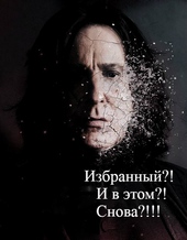 Избранный?! И в этом?! Снова?!!! (СИ)