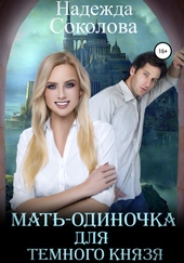 Мать-одиночка для Темного Князя Мать-одиночка для Темного Князя